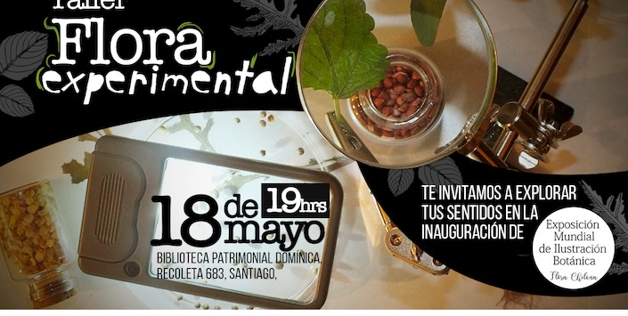 Taller de Fundacin Planificable