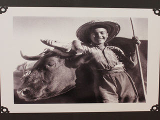 Ignacio Hochhusler, "Campesino con buey", 1955.