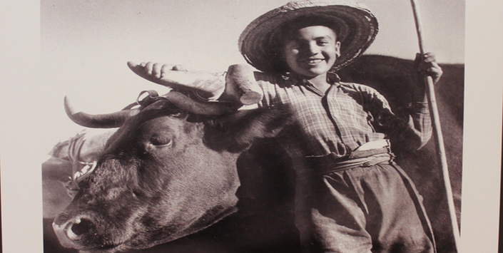 Ignacio Hochhusler, "Campesino con buey", 1955.