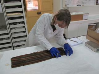 C. Perrier trabajando en una faja. N. Naranjo 2014