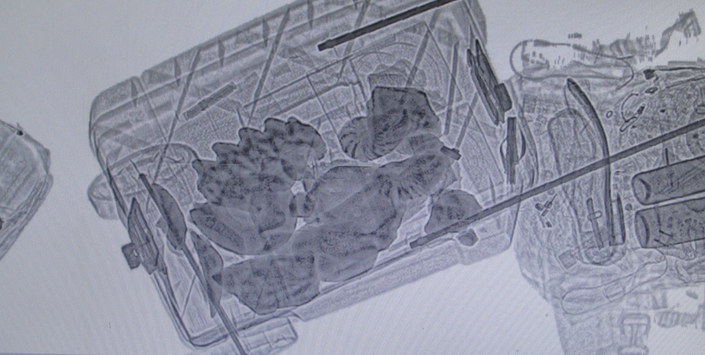 Bienes Paleontol�gicos en Control Aduanero Paso Chacalluta, Julio 2013