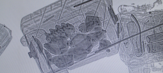 Bienes Paleontol�gicos en Control Aduanero Paso Chacalluta, Julio 2013