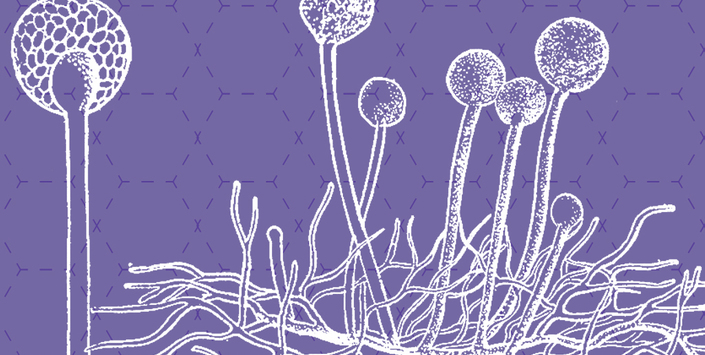 imagen imagen_portada.jpg