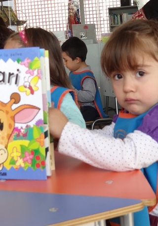 Boletn Estadstico SNBP 2013-2014