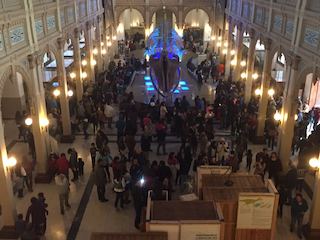 imagen imagen_01.jpg