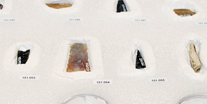 Museo de Historia Natural de Concepcin