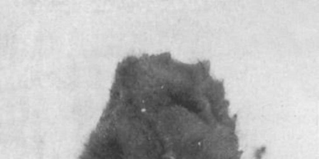 MC0012584