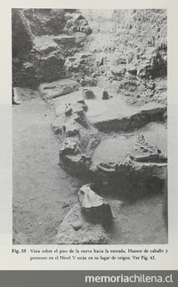 Piso de excavación cueva Fell, con huesos de caballo y milodón in situ.Viajes y arqueología en Chile austral. Ediciones de la Universidad de Magallanes, Punta Arenas. 1988.