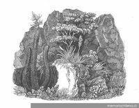 Plantas de la Zona Central, 1822