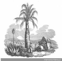 Horno de barro, zona central, 1822