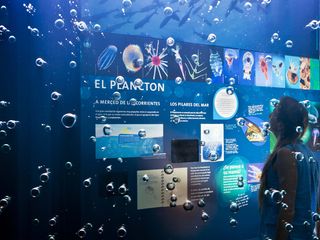 Biodiversidad en la regi�n central