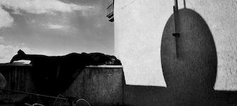 imagen imagen_portada.jpg