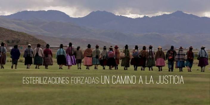 imagen galeria_03.jpg