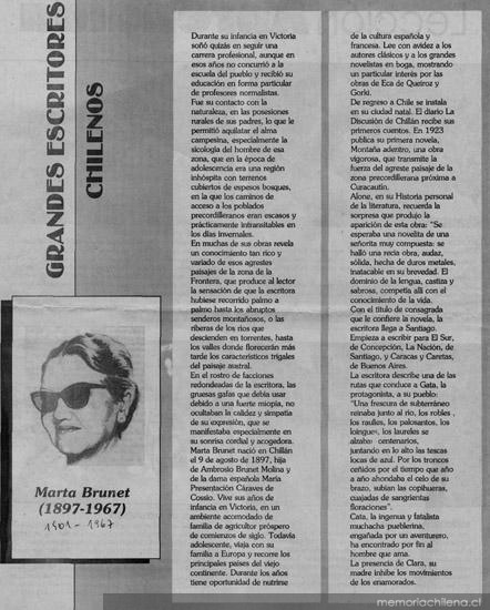 Grandes escritores chilenos