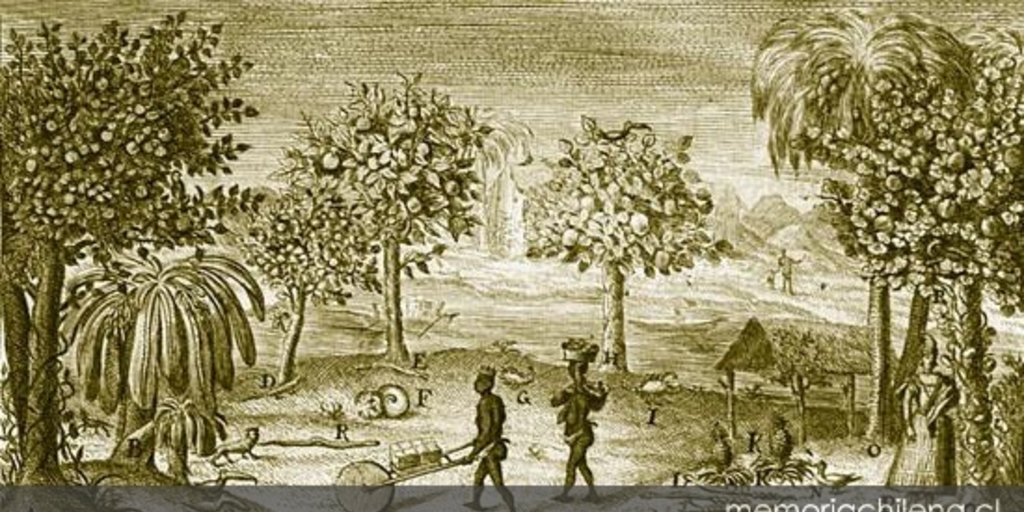 El reino de Quito y sus plantas, 1748