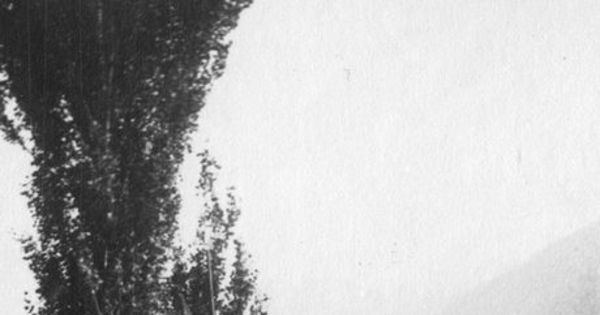 Embarcación en el río Maule, 1922