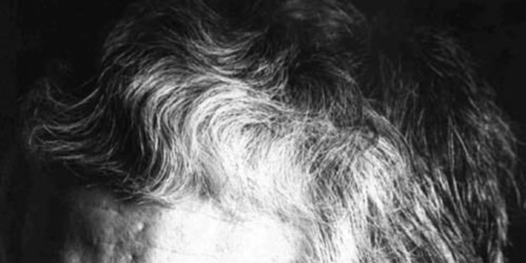 Miguel Arteche, 1996