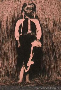 Mujer mapuche