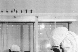 Procedimientos de laboratorio, hacia 1965