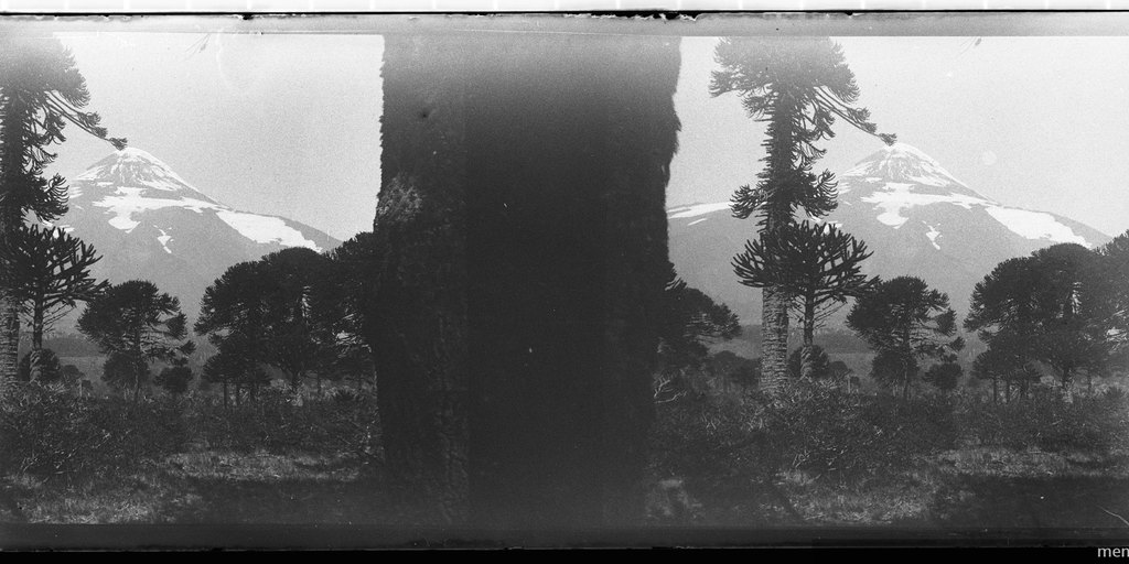 Al Karim, Lanin desde bosques de la araucanas, 1906