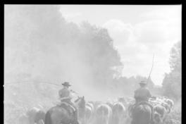 [El campo talquino] : Chile Talca Reforma Agraria