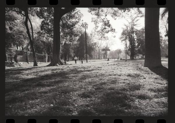 [Imágenes de el interior del Parque] : Quinta Normal