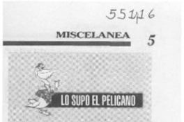 Cartagena y Couve en el Bellas Artes  [artículo]