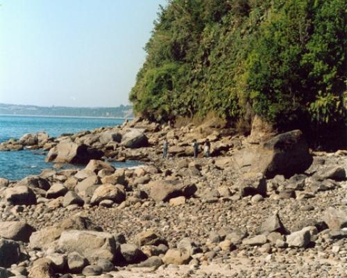 Imagen del monumento Complejo patrimonial conformado por 18 corrales de pesca de piedra