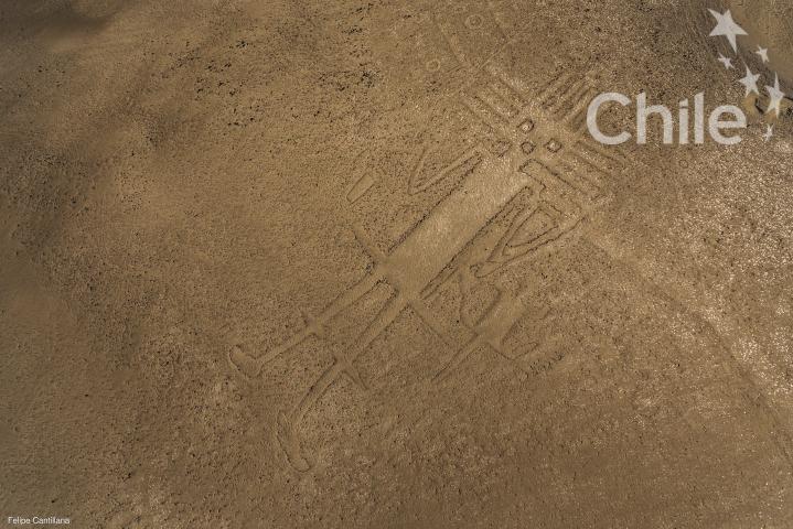 Imagen del monumento Gigante de Atacama