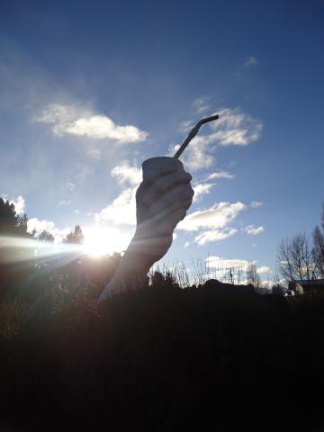 Imagen del monumento Monumento Al Mate