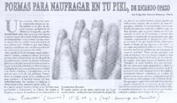 Poemas para naufragar en tu piel Poemas para naufragar en tu piel