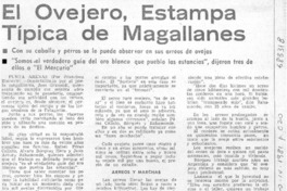 El ovejero, estampa típica de Magallanes El ovejero, estampa típica de Magallanes