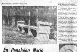 En Peñalolén nació "La Oración por todos" En Peñalolén nació "La Oración por todos"