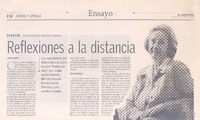 Reflexiones a la distancia Reflexiones a la distancia
