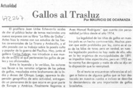 Gallos al trasluz Gallos al trasluz
