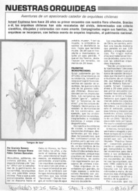 Nuestras orquídeas Nuestras orquídeas