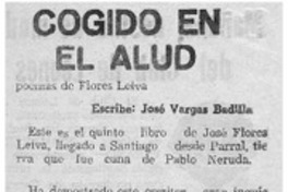Cogido en el alud Cogido en el alud