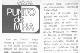 Punto de mira Punto de mira