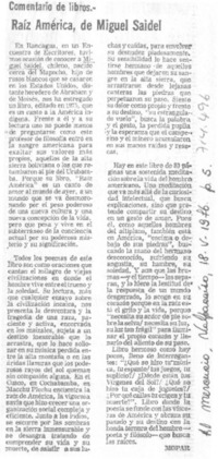 Raíz América, de Miguel Saidel Raíz América, de Miguel Saidel