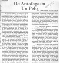 De Antofagasta un pelo De Antofagasta un pelo