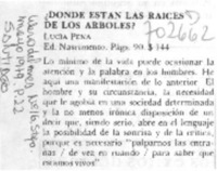 Donde están las raíces de los árboles?. Donde están las raíces de los árboles?.