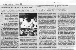 Las ocurrencias de un "Gato" en la cocina Las ocurrencias de un "Gato" en la cocina