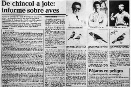 De chincol a jote, informe sobre aves De chincol a jote, informe sobre aves