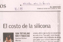 El costo de la silicona El costo de la silicona
