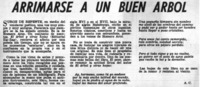 Animarse a un buen árbol