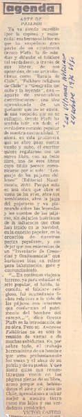 Arte de pájaros