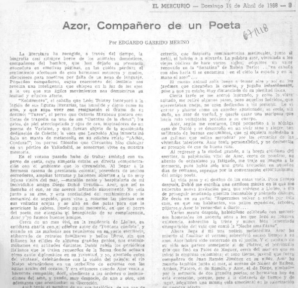 Azor, compañero de un poeta