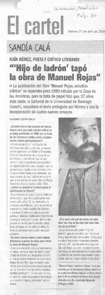 "Hijo de ladrón tapó la obra de Manuel Rojas" [entrevista]