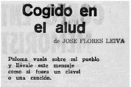 Cogido en el alud