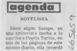 Novelista